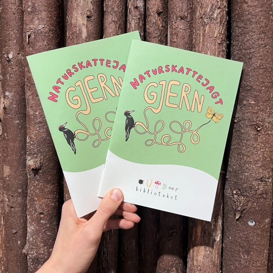 Naturskattejagt Gjern