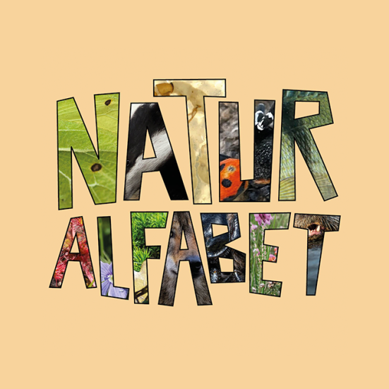 Beige baggrund med skrift "Naturalfabet"