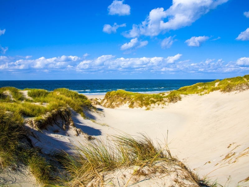 Dansk strand, klitter og blå himmel