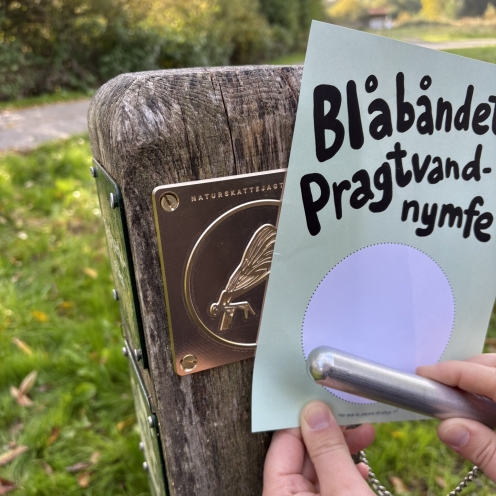 Pæl med messingplade 